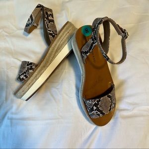 New Lucky brand Womens espadrilles